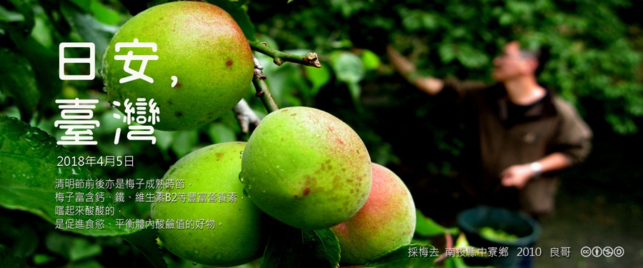 365 日安，臺灣之2018年4月5日